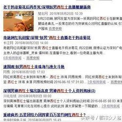 社会热点素材2025 网红黑料爆料网在线看 笔记,网络爆料背后的真相与反思